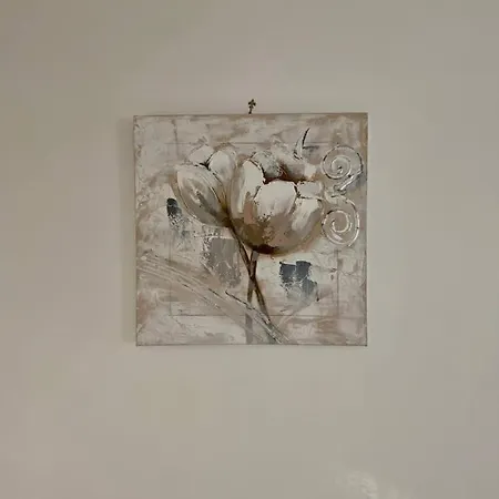Viola